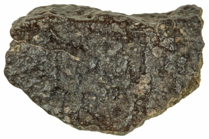 Abadla CM Chondrite Meteorite ( g) - Algeria #313046